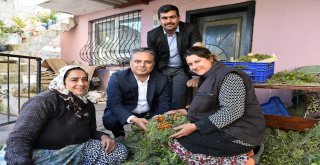 Zeytinköyde Değişim Başlıyor