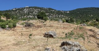 Köylüler Tarım Alanlarını Geri İstiyor