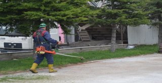 Şuhutta Çim Biçme Çalışmaları Tam Gaz Devam Ediyor