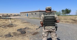 Diyarbakırda Arazi Kavgası: 4 Yaralı