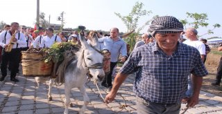 Bucada Renkli Bağ Bozumu Şenliği