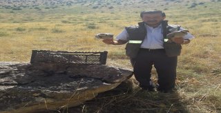 Tedavileri Tamamlanan Keklikler Doğaya Bırakıldı