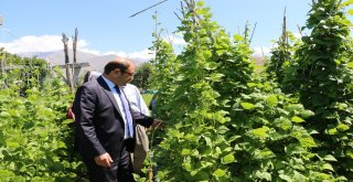 Erzincanda Tarla Günü Düzenlendi