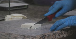 (Özel Haber) Ezine Peynirinin Sırrı Otlayan Koyun, Keçi Ve İneklerde Gizli