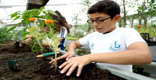 Bağcılarda Çocuklar Bitkilerle Arkadaş Oldu