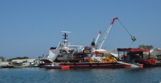 Ordulu Balıkçılar Yeni Sezona Tam Gaz Hazırlanıyor