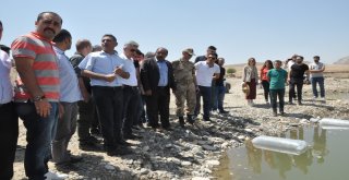 Terörün Yerini Huzura Bırakmasıyla Yaylalar İle Birlikte Nehir Ve Göller De Şenlendi