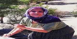 Sulama Havuzuna Düşen Yaşlı Kadın Hayatını Kaybetti