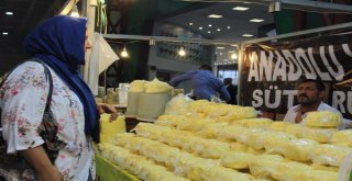 Gaziantep Kültürü Kocaeliye Taşındı