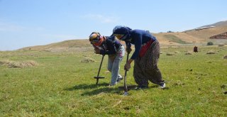Salep Ekmek Kapısı Oldu