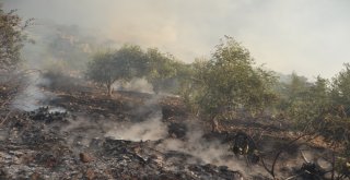 Tarihi Kozan Kalesinde Orman Yangını