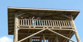 Çıldır Kuş Gözetleme Kulesine Yoğun İlgi