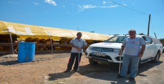 Maltepede Kurban Denetimi