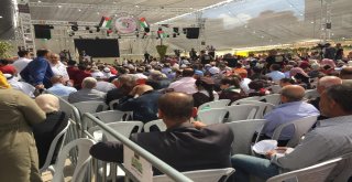 Filistinde Üzüm Festivali