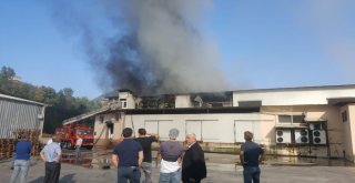 Trabzonda Süt Ürünleri İmalatı Yapan Bir Fabrikada Yangın Çıktı