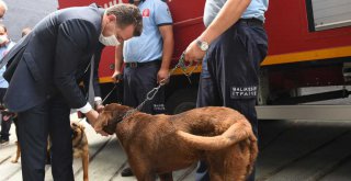 BÜYÜKŞEHİR İTFAİYESİ ALTI KÖPEKLE TAKVİYE EDİLDİ