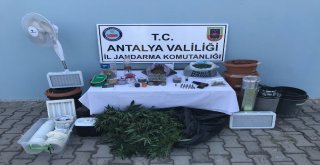 Uyuşturucu Taciri Tutuklandı