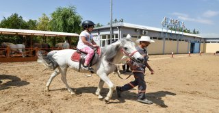 Altınparkta Midilli Keyfi