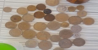 (Özel) Gurbetçi 42 Yıllık Koleksiyonunu Satmak İstiyor