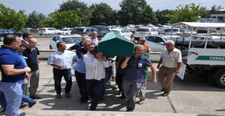 Omü Tıp Fakültesinin Acı Kaybı