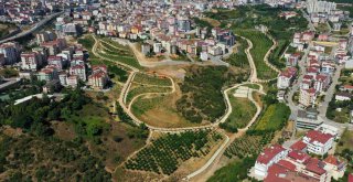 Tatlıkuyu Vadisi Gebze’nin cazibe merkezi oldu