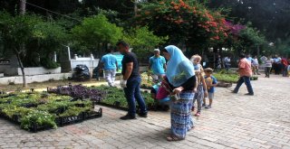 Alanya Belediyesi 21 Mezarlıkta 55 Bin Çiçek Dağıtacak