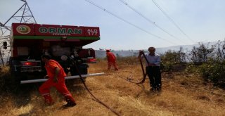 Bingölde 4 Gündür Süren Yangın Kontrol Altına Alındı