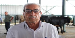 Hayvancılar Kurbanlıklara İlgiden Memnun Değil