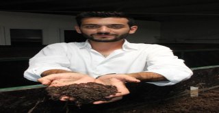 Solucan Sevgisi İş Sahibi Yaptı