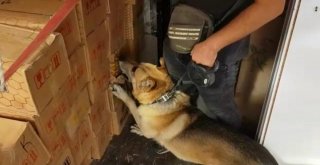 Bal Tenekelerinden 176 Kilo Eroin Ele Geçirildi