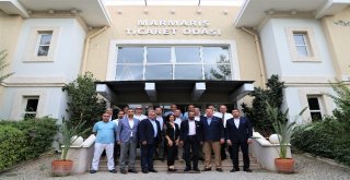 Turizm Seferberliğine Gtodan Önemli Destek