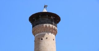 Hatuniye Camii 500 Yıldır Ayakta