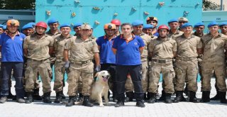 Jandarma Ve Afad Ekibinden Nefes Kesen Tatbikat