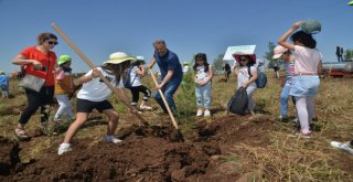 Geslerden 1 Milyon 153 Bin Tl Gelir Elde Edildi