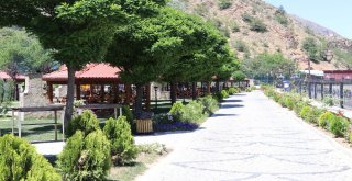 Türkiyenin En Büyük Şemsiyesi Gümüşhanede