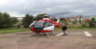 Ambulans Helikopter 43 Günlük Yılmaz Bebek İçin Havalandı
