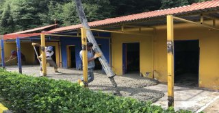 Sokak Hayvanları Rehabilitasyon Ve Bakım Merkezi Yenileniyor