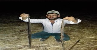 Diyarbakırda Bir Köy Diken Üstünde