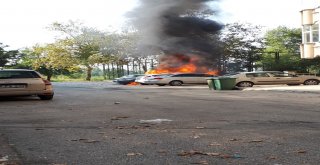 Park Halindeki 2 Otomobil Alev Alev Yandı
