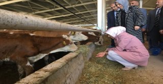 Taşkesenlioğlu, Esnaf Ve Stk Temsilcileri İle Bir Araya Gelerek Sorunlarını Dinledi