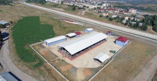 Bingölde Kurban Satış Ve Kesim Yerleri Belirlendi