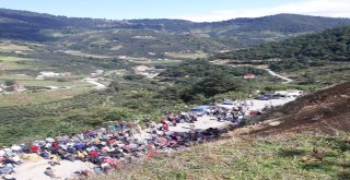 Giresundaki Trafik Kazası: 5 Ölü, 8 Yaralı