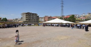 Yüksekovaya Gelen Fransalı Geline Görkemli Düğün