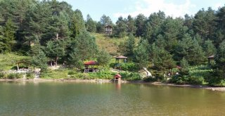 Limni Gölü Rekor Tazeledi