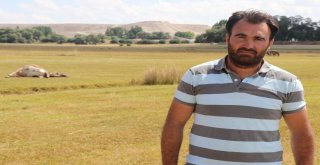Kayseride İki Mahalle Karantinaya Alındı