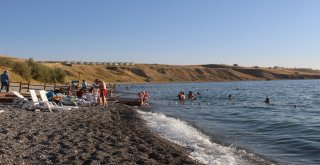 Başkan Özgökçe Engellilerle Yüzdü