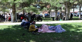 Parkta Yatan 17 Afgan Aileye Devlet Sahip Çıktı