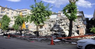 Molozlar Ağaçlara Zarar Verdi