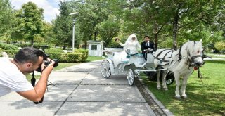 Ankara Büyükşehir Belediyesinden Ücretsiz Düğün Hizmetleri