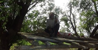 (Özel) Karpuzu Böyle Koruyorlar